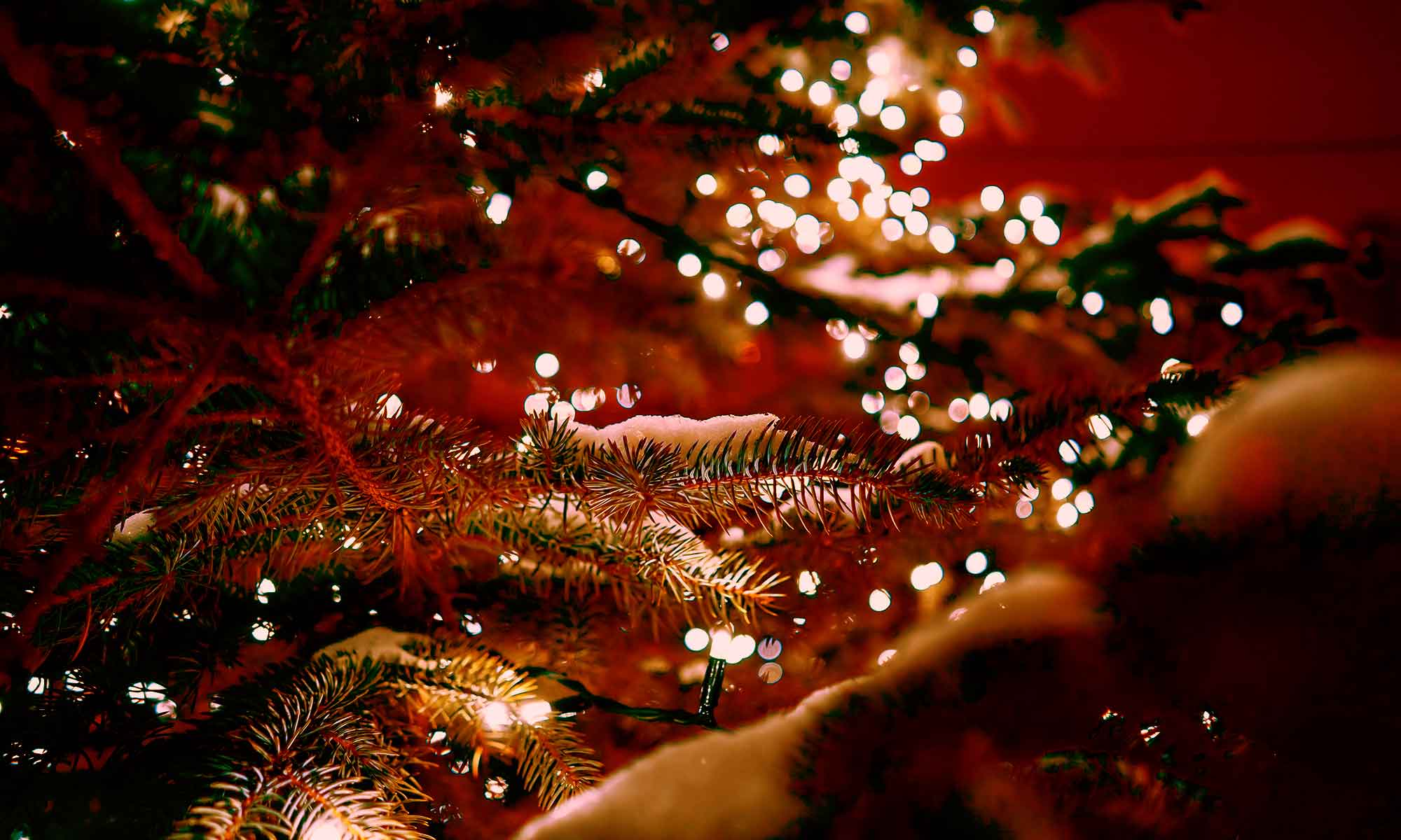 Kerstlampjes in kerstboom met sneeuw